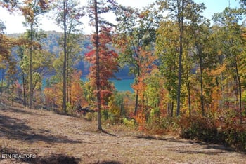 0 Whitetail Ln, Lafollette, TN 37766
