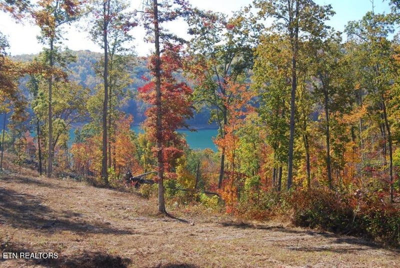 0 Whitetail Ln, Lafollette, TN 37766