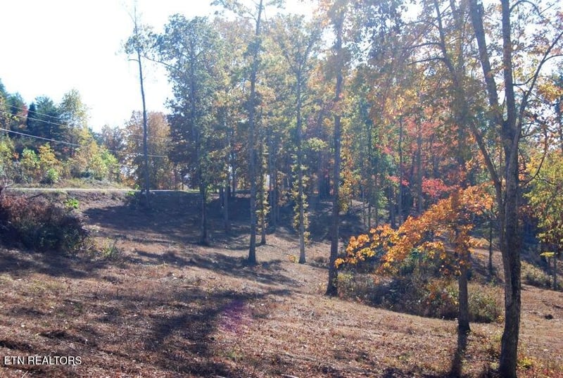 0 Whitetail Ln, Lafollette, TN 37766
