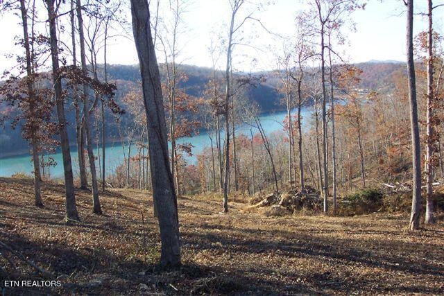 0 Whitetail Ln, Lafollette, TN 37766