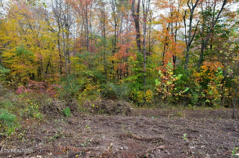 0 Whitman Hollow Rd, Lafollette, TN 37766