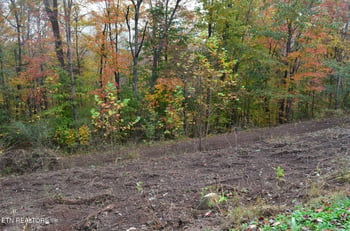 0 Whitman Hollow Rd, Lafollette, TN 37766