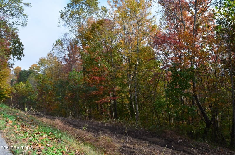 0 Whitman Hollow Rd, Lafollette, TN 37766