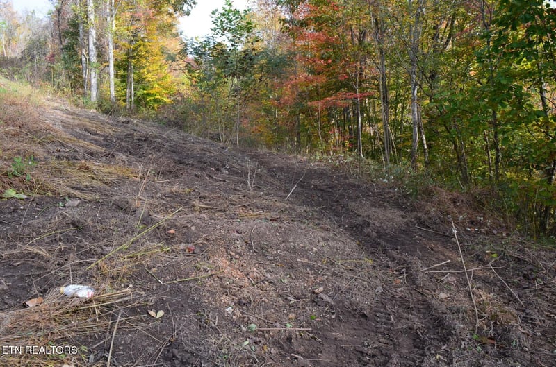 0 Whitman Hollow Rd, Lafollette, TN 37766