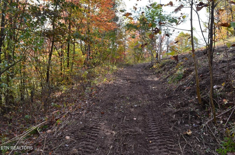 0 Whitman Hollow Rd, Lafollette, TN 37766