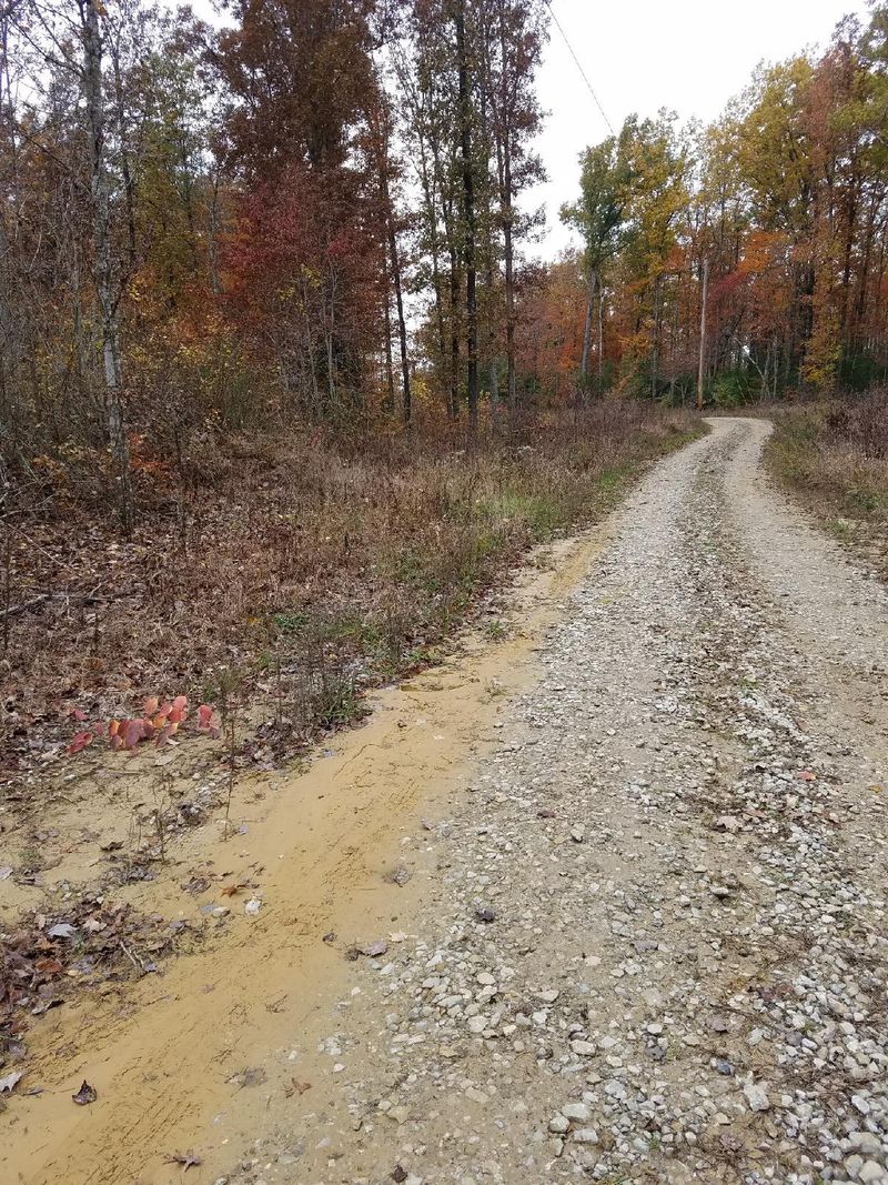 0 Wild Turkey Tr, Oneida, TN 37841