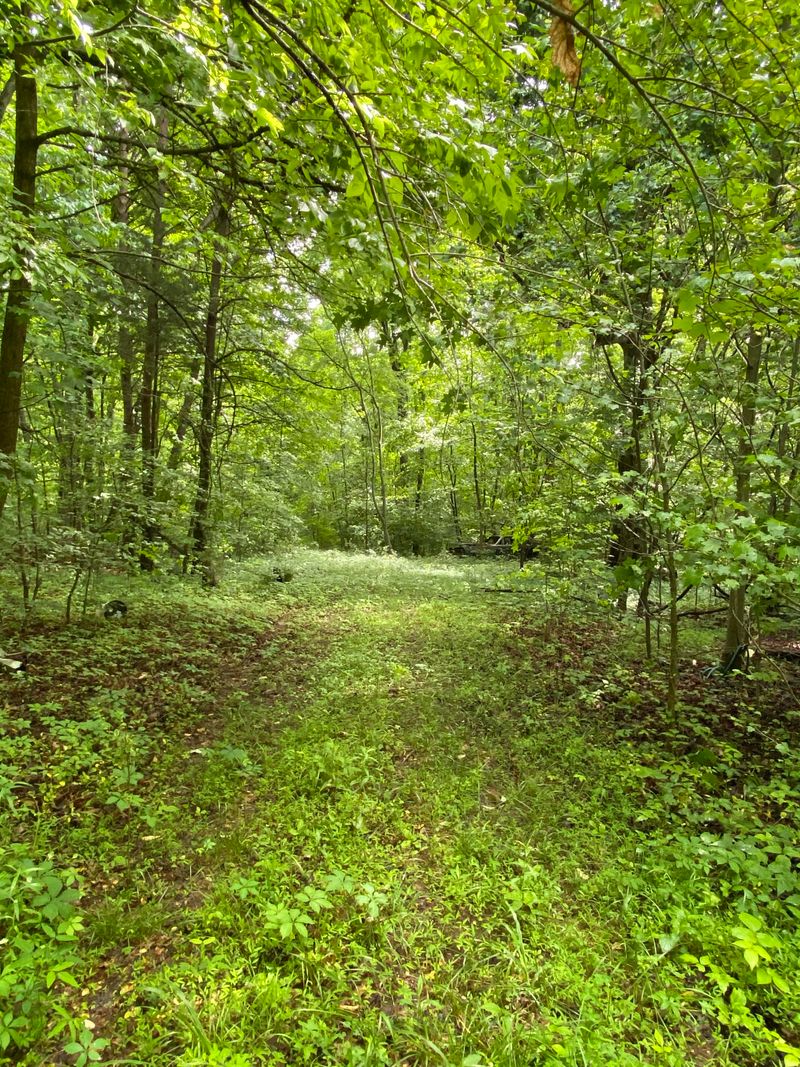 0 Wilder Ln, Powell, TN 37849