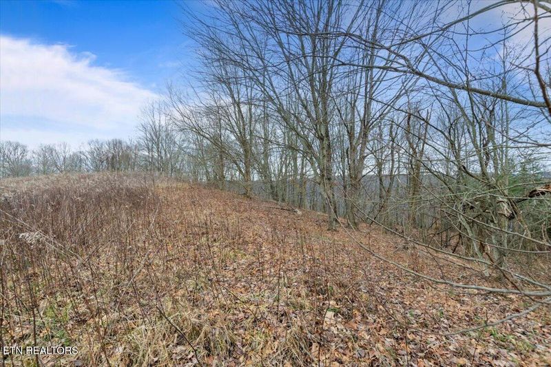 0 Wilderness Ridge Ln, Pioneer, TN 37847
