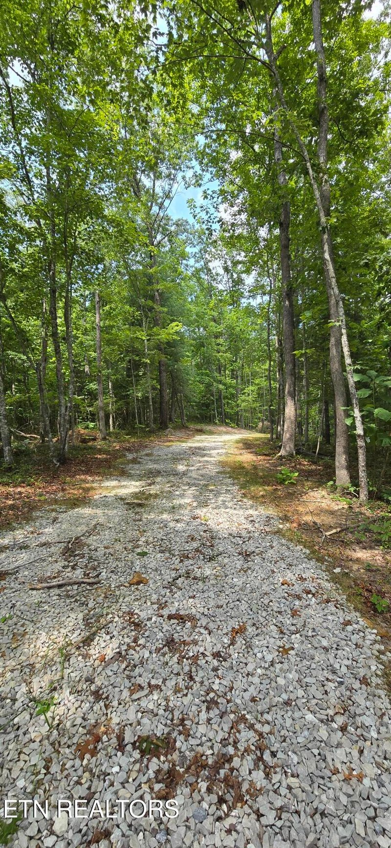 0 Wilderness Tr, Oneida, TN 37841