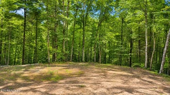 0 Wilderness Tr, Oneida, TN 37841