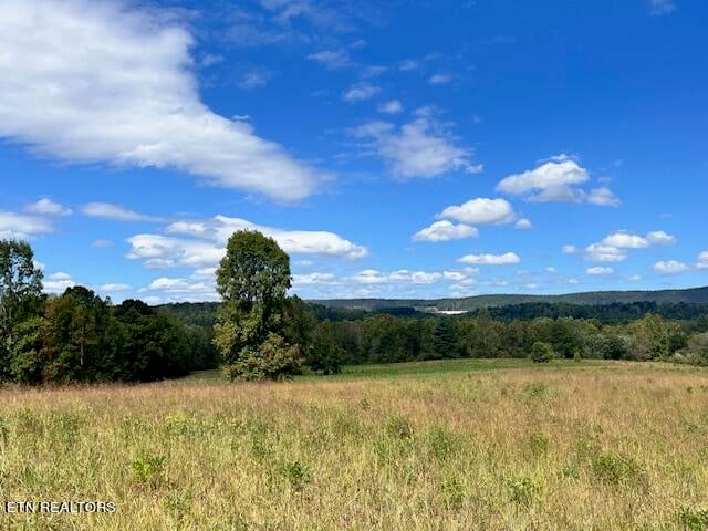 0 Wilderness Tr, Rockwood, TN 37854