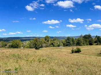 0 Wilderness Tr, Rockwood, TN 37854