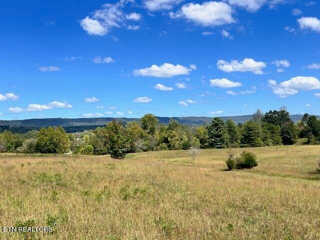 0 Wilderness Tr, Rockwood, TN 37854