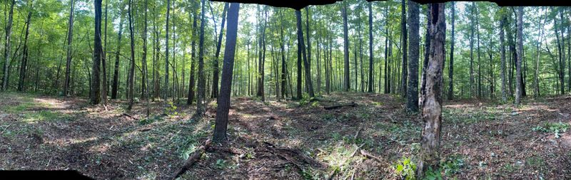 0 Wilderness Trail Tr, Oneida, TN 37841