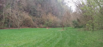 0 Wilhite Rd, Cosby, TN 37722