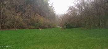 0 Wilhite Rd, Cosby, TN 37722