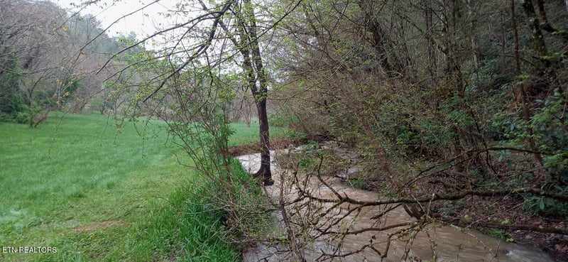 0 Wilhite Rd, Cosby, TN 37722