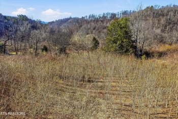 0 Wilkinson Pike, Maryville, TN 37803