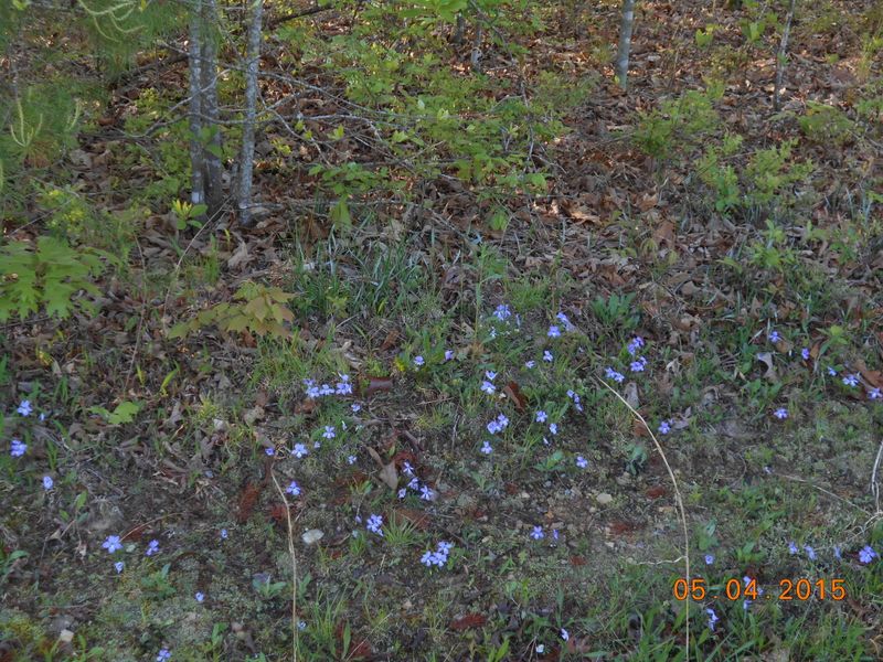 0 Will Dr, Crossville, TN 38555