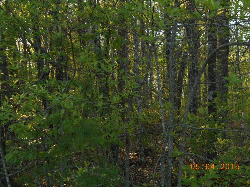 0 Will Dr, Crossville, TN 38555