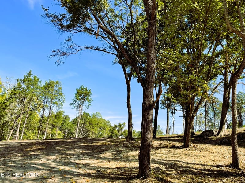 0 Williams Bend Rd Lot 1, Knoxville, TN 37932