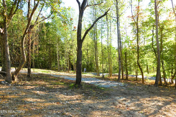 0 Williams Bend Rd Lot 1, Knoxville, TN 37932