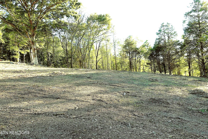 0 Williams Bend Rd Lot 1, Knoxville, TN 37932