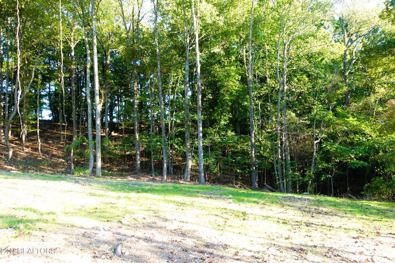 0 Williams Bend Rd Lot 2, Knoxville, TN 37932
