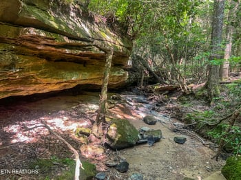 0 Willie Boyatt Rd, Oneida, TN 37841