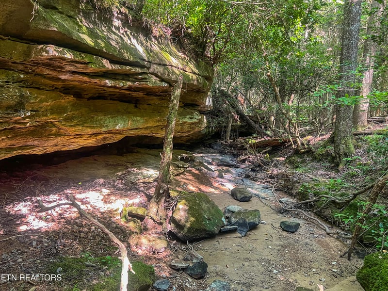 0 Willie Boyatt Rd, Oneida, TN 37841