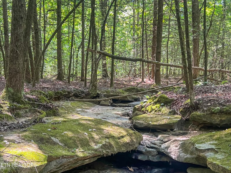 0 Willie Boyatt Rd, Oneida, TN 37841