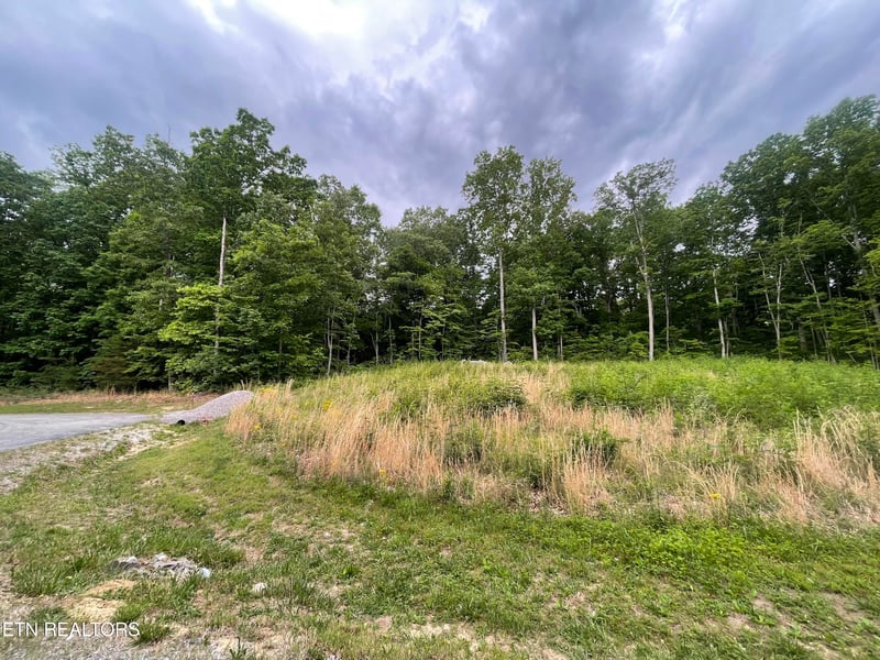 0 Willow Ridge Dr, Crossville, TN 38571