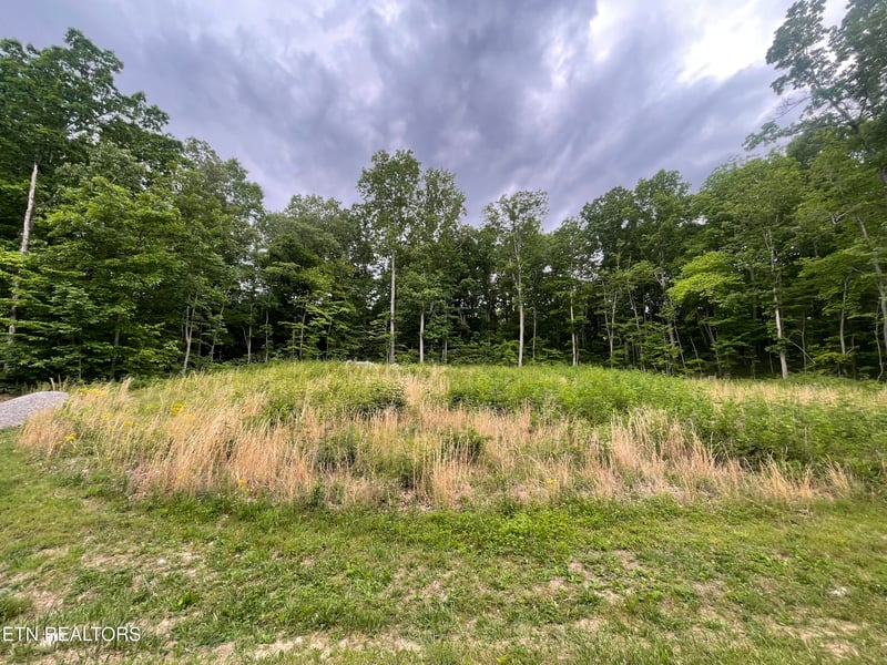 0 Willow Ridge Dr, Crossville, TN 38571