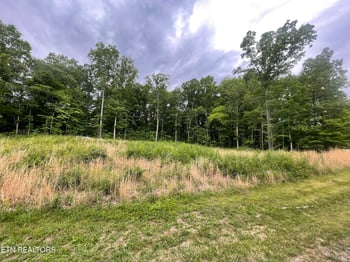 0 Willow Ridge Dr, Crossville, TN 38571