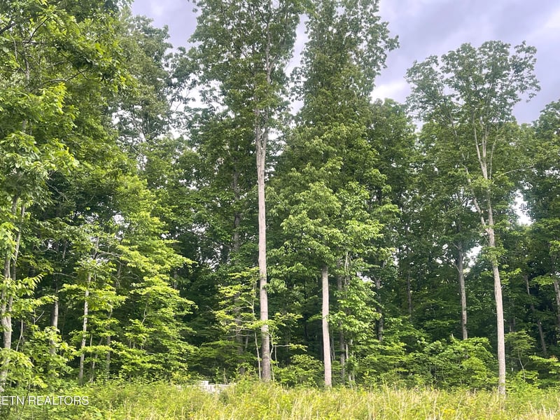 0 Willow Ridge Dr, Crossville, TN 38571