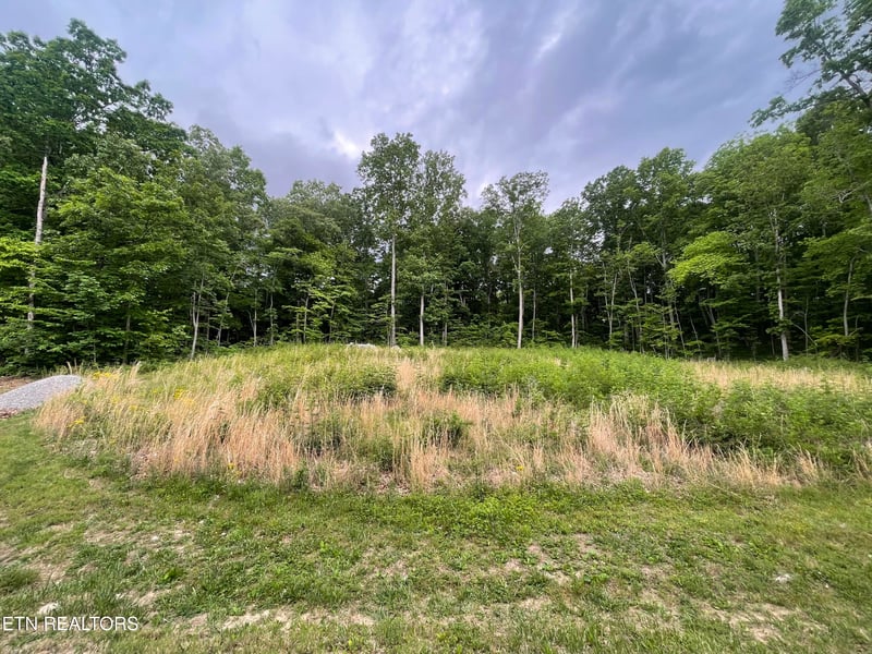 0 Willow Ridge Dr, Crossville, TN 38571