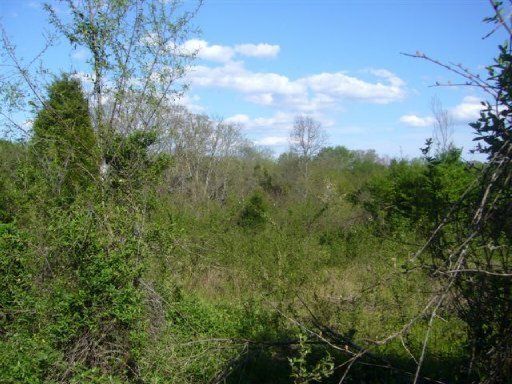 0 Wilson Rd, Lenoir City, TN 37772