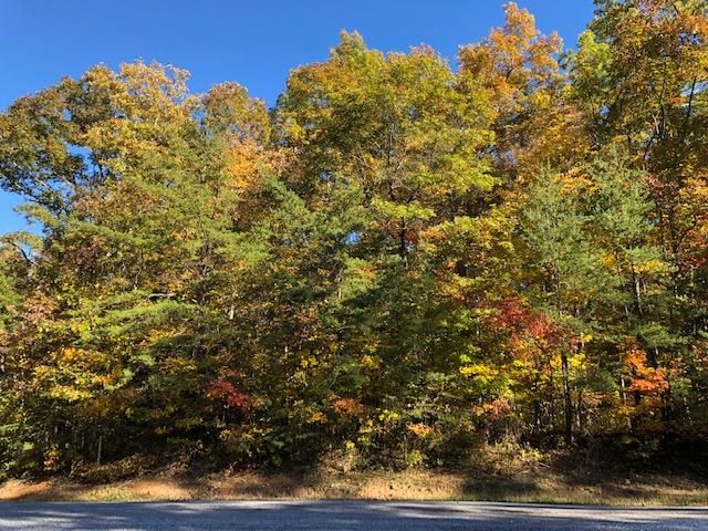 0 Winding Way 5 3, Monterey, TN 38574