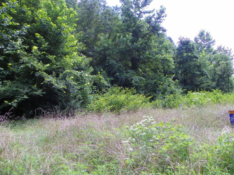0 Windswept View Way, Sevierville, TN 37862