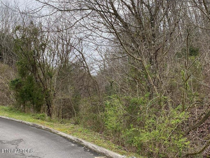0 Wingspan Dr, Sevierville, TN 37862