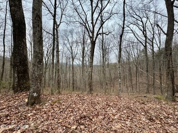 0 Wolf Creek Rd, Robbins, TN 37852