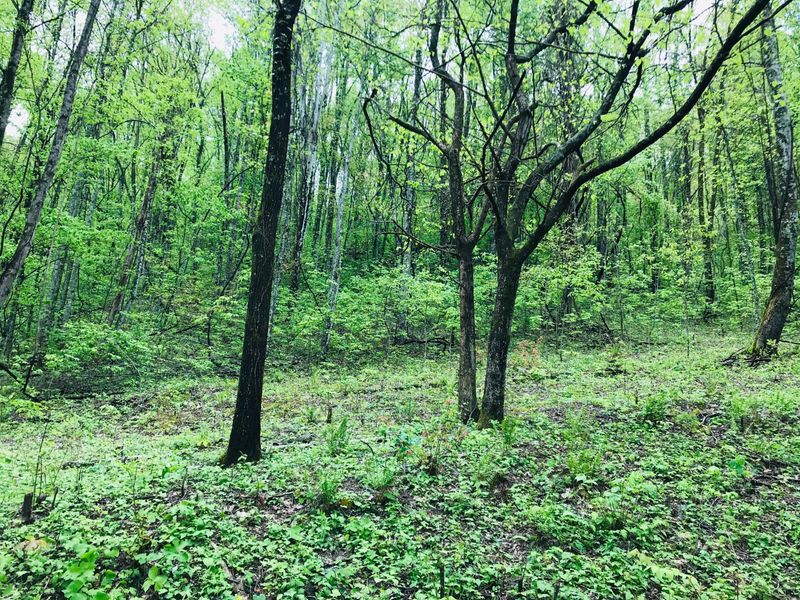 0 Wolf Way, Sevierville, TN 37862