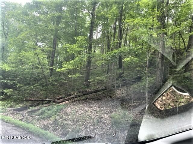 0 Wolfe Road Rd, Bean Station, TN 37708