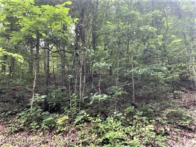 0 Wolfe Road Rd, Bean Station, TN 37708