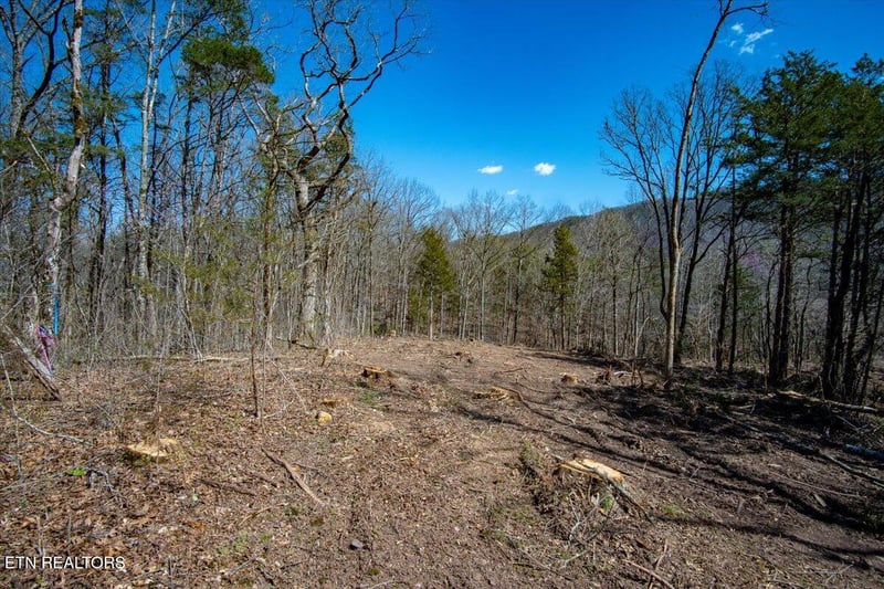 0 Wolfenbarger Tract 1, Luttrell, TN 37779