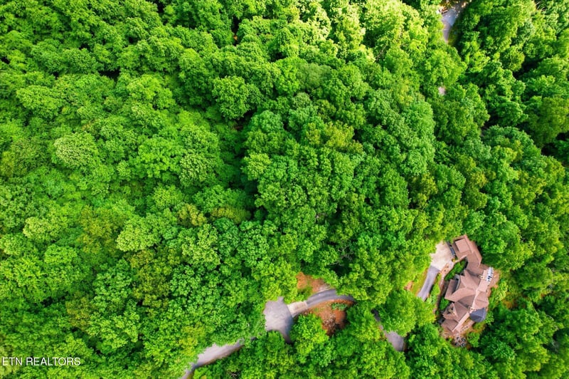 0 Woodfern Way, Gatlinburg, TN 37738