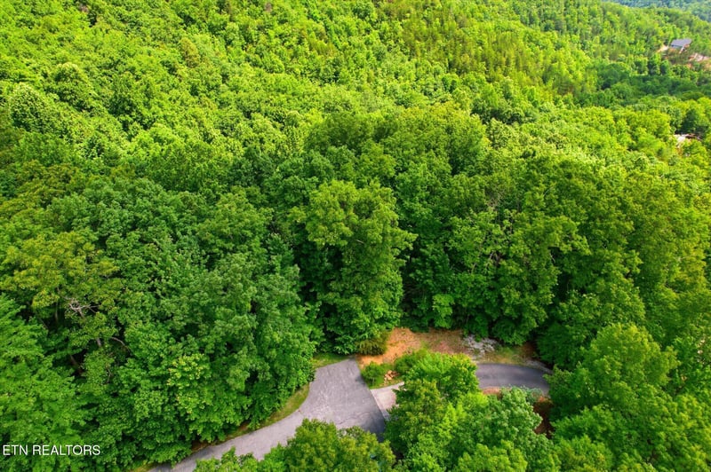 0 Woodfern Way, Gatlinburg, TN 37738