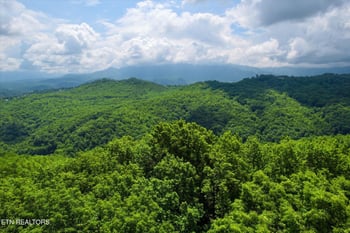0 Woodfern Way, Gatlinburg, TN 37738