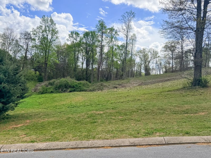 0 Woodland Dr, Jasper, TN 37347