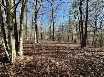 0 Woodland Trail Lot 17, Sunbright, TN 37872